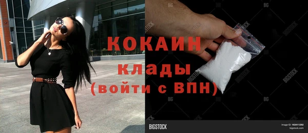 винт Гусев