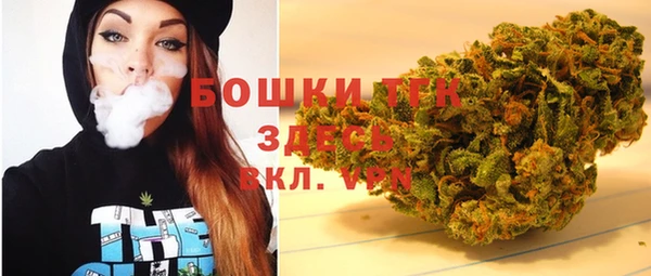 винт Гусев
